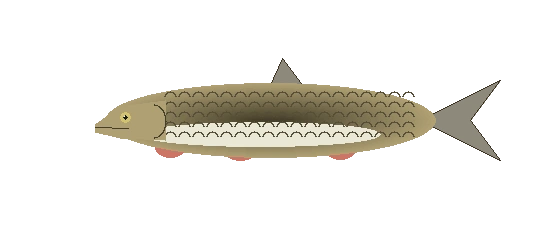 Döbel