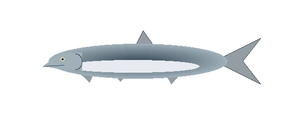 Rapfen